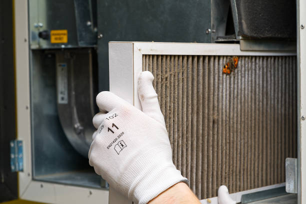 Best Ductwork Cleaning Services  in Harvard, NE